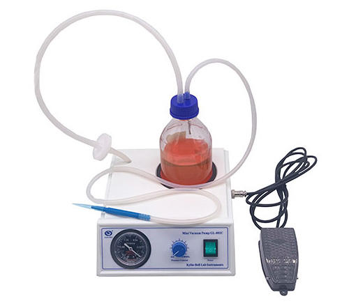 微型臺(tái)式真空泵GL-802C